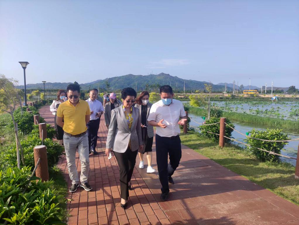 省生态修复协会轮值会长单位奇发28集团带队赴汕尾全域土地整治军民融合试点项目调研