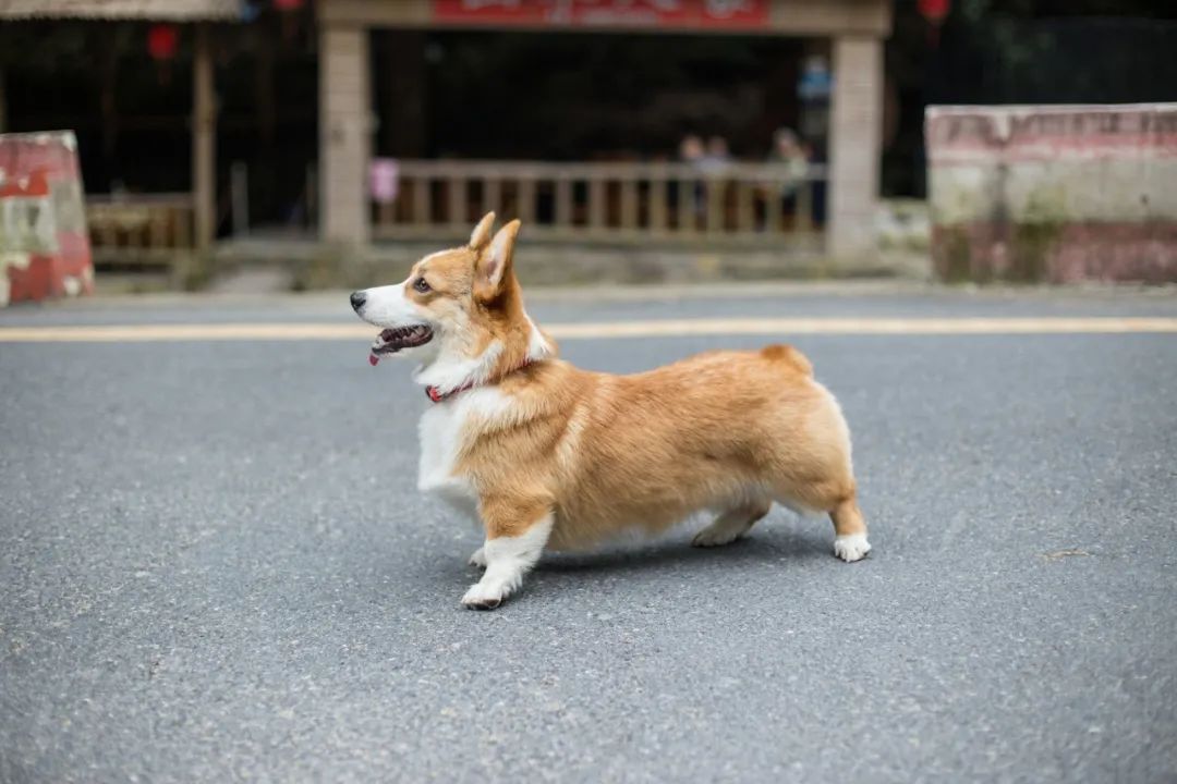 再见，，，，，，我的老朋友