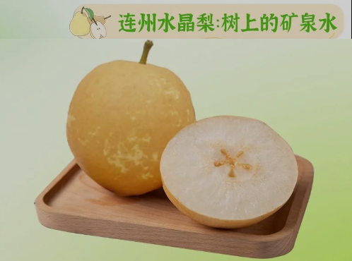 “桃李”酷暑，，，，，，，，清凉一夏