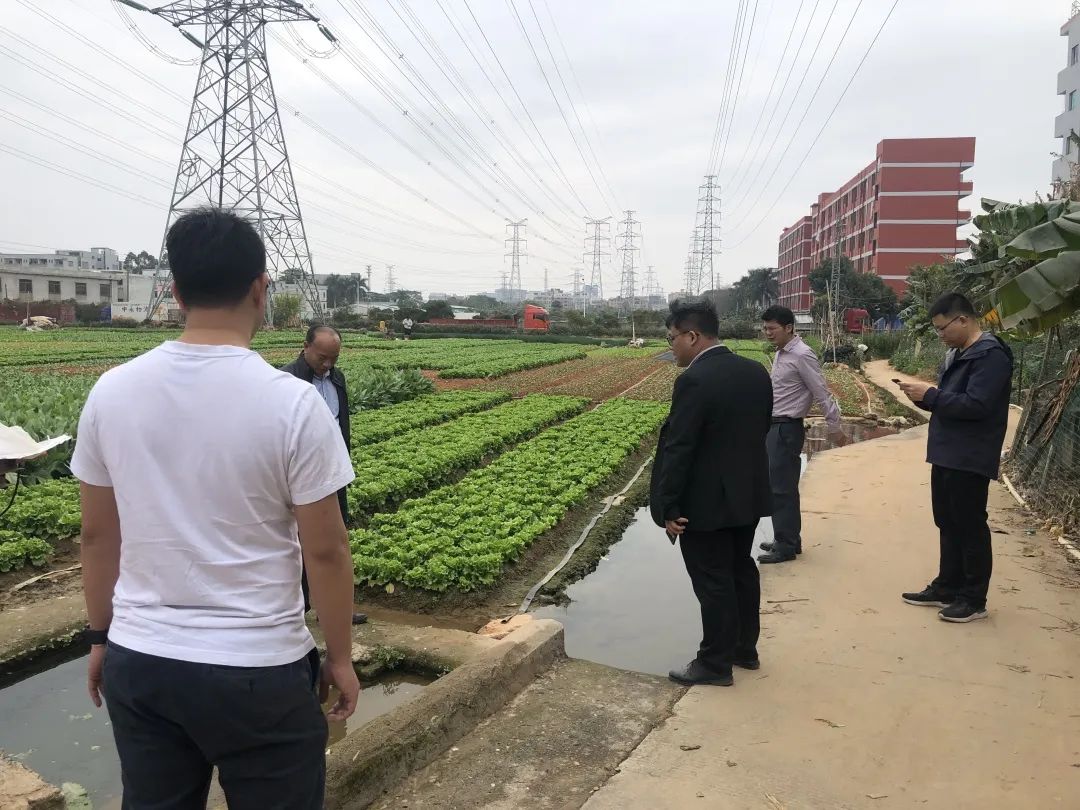 助力乡村振兴，，，，，，，奇发28一直在努力！