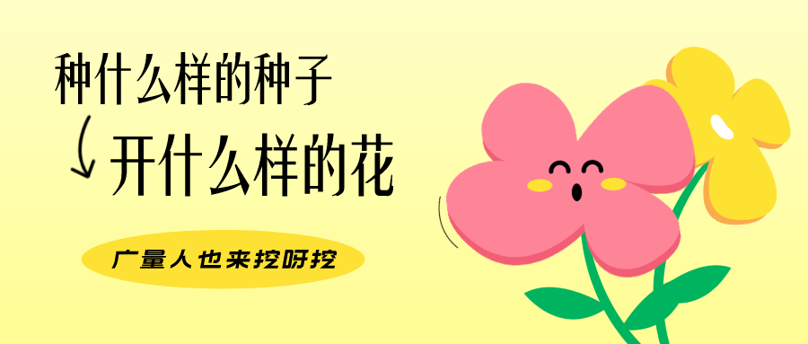 量圈儿NO.104丨奇发28人的小小花园，，，，，，，挖到宝了！
