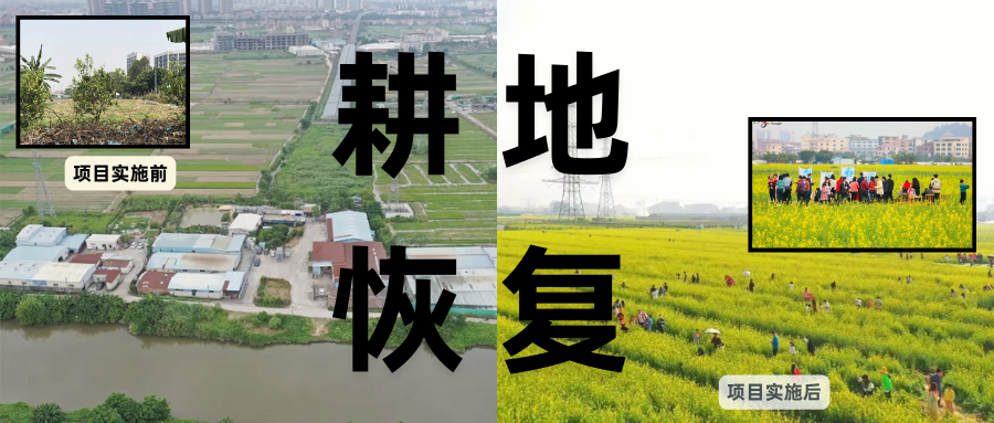 耕地保；；；；び刖梅⒄构踩凇甘泻窠终蛩谏缜读继锵钅扛鼗指从氤窍缛诤系拇葱率导
